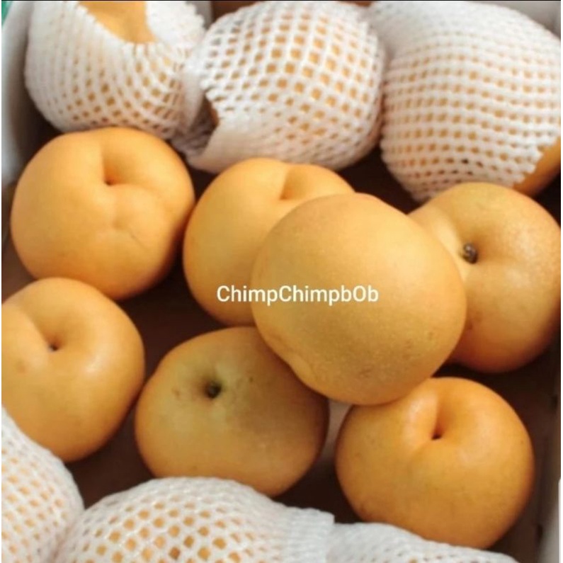 

BUAH PEAR KOREA SEGAR 1 KG