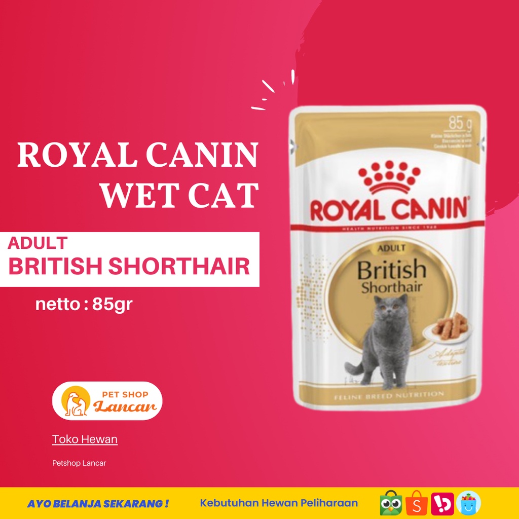 Royal Canin Adult British Shorthair Makanan Kucing Dewasa Wet 85gr