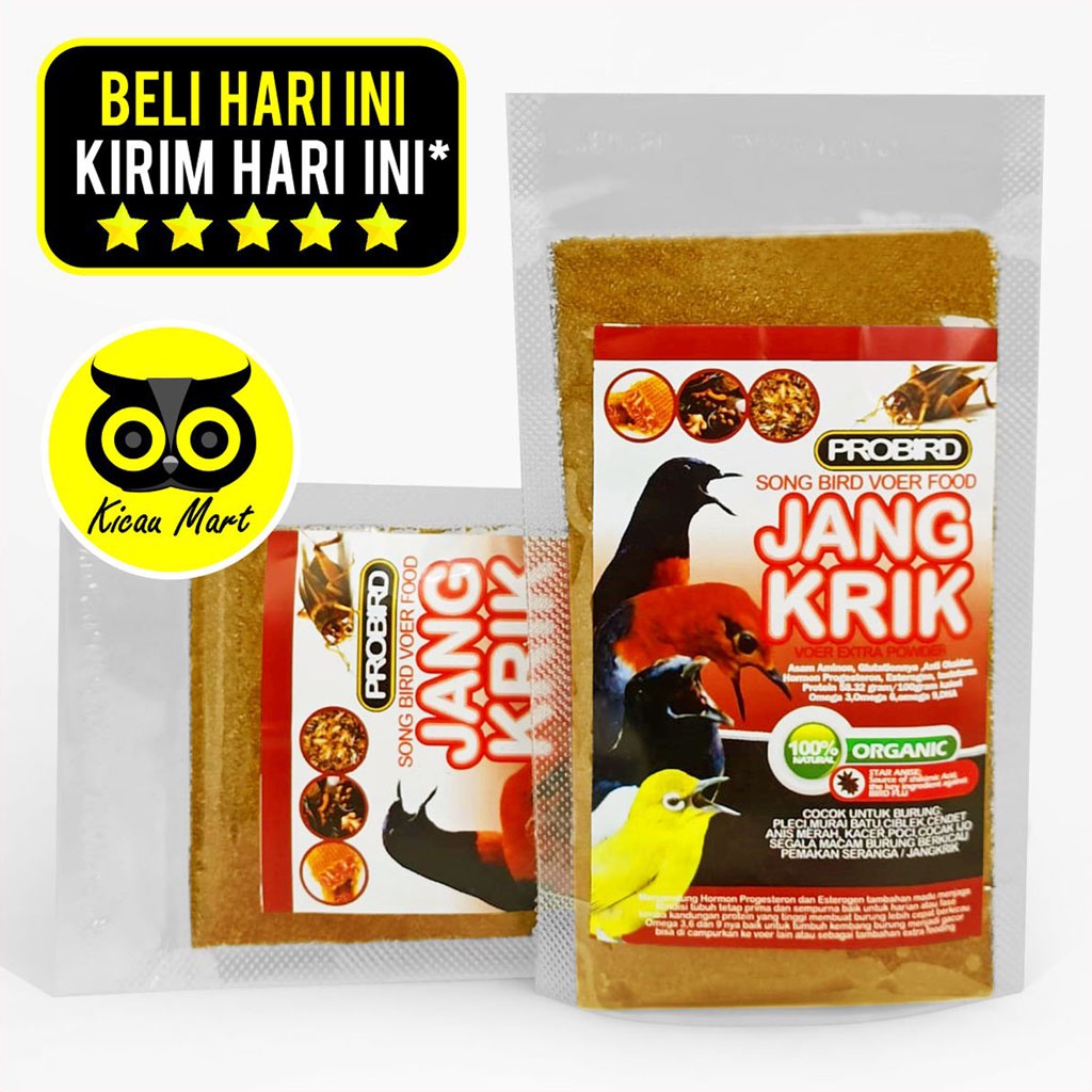 PAKAN MAKANAN HARIAN LOMBA BURUNG MURAI KACER PLECI CUCAK PUR TEPUNG VOER JANGKRIK PROBIRD PKVJGSR