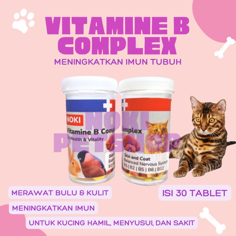[BISA COD] VITAMIN B COMPLEX FOR PET KUCING DAN ANJING SUPLEMEN | VITAMIN KUCING PENAMBAH DAYA TAHAN TUBUH KELINCI ANJING KUCING AYAM RAID ALL PERBUTIR B COMPLEX CALSIUM ALLIUM TABLETS TERMURAH VITAMIN MULTIVITAMIN ANJING KUCING ISI 200 TABLET KUCING