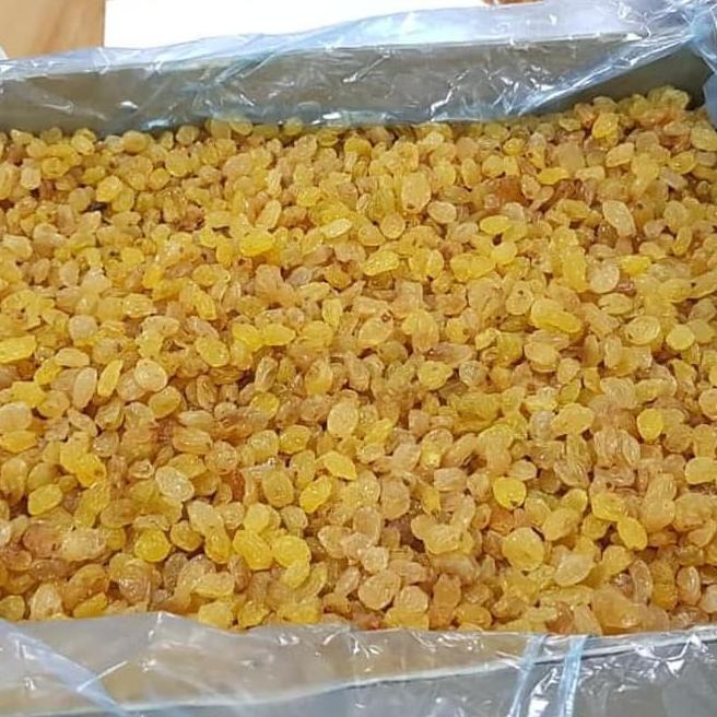 

Siap Kirim Kismis jumbo manis non biji 1kg