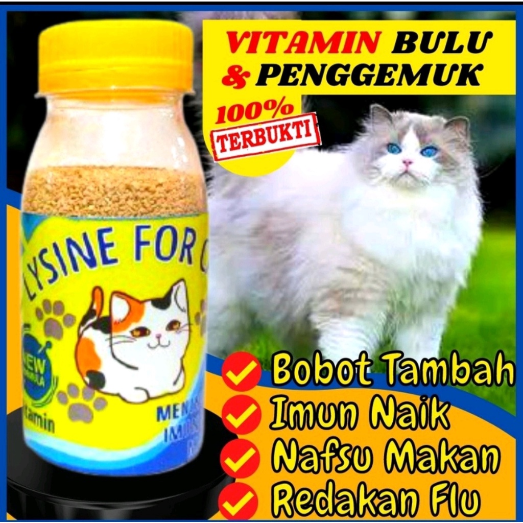 VITAMIN PENGGEMUK DAN BULU KUCING LYSINE,PENAMBAH NAFSU MAKAN