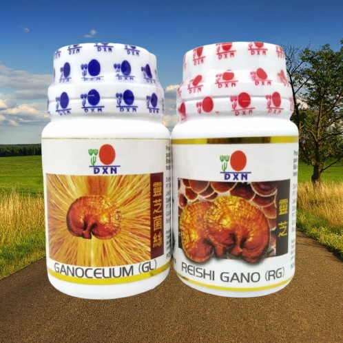 Daxen Ganoderma DXN - RG GL 30 Kapsul