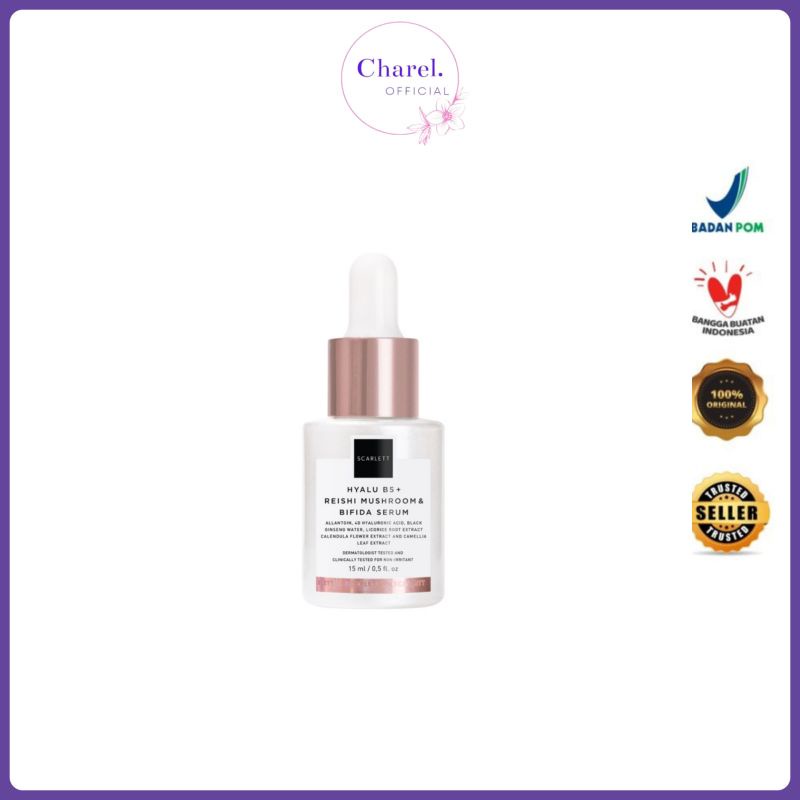 Hyalu B5 + Reishi Mushroom & Bifida Serum