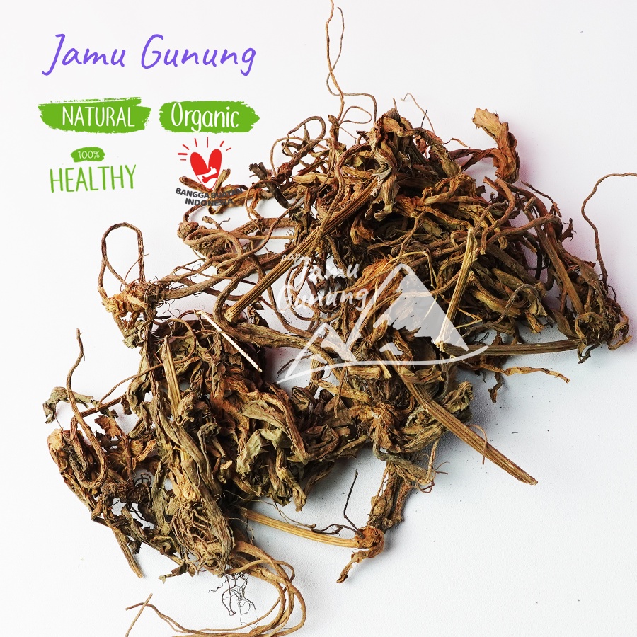 

Akar Purwaceng 250 gr Kering Asli Hutan - Grade A