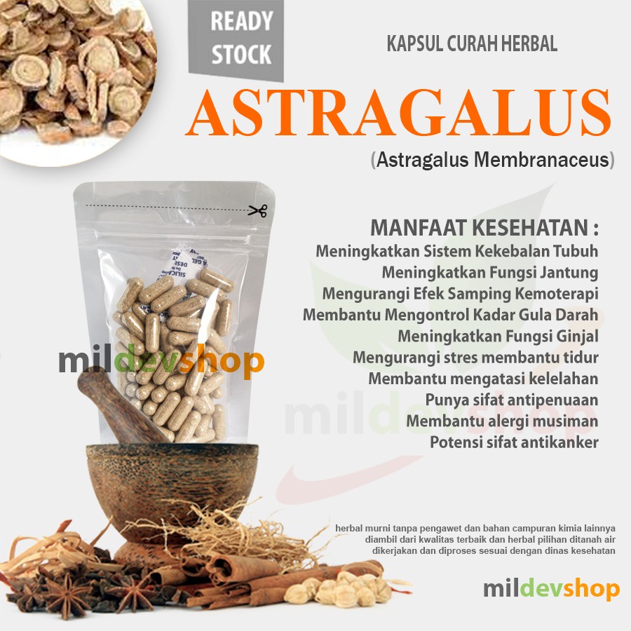 

Kapsul Curah Astragalus Huang Qi kekebalan tubuh ginjal gula darah 100