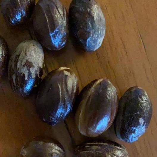 

◙ Pala Lonjong / Pala kulit asal Papua dapat 1kg. Paling Murah ♬