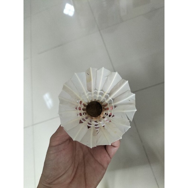 Shuttlecock Polos