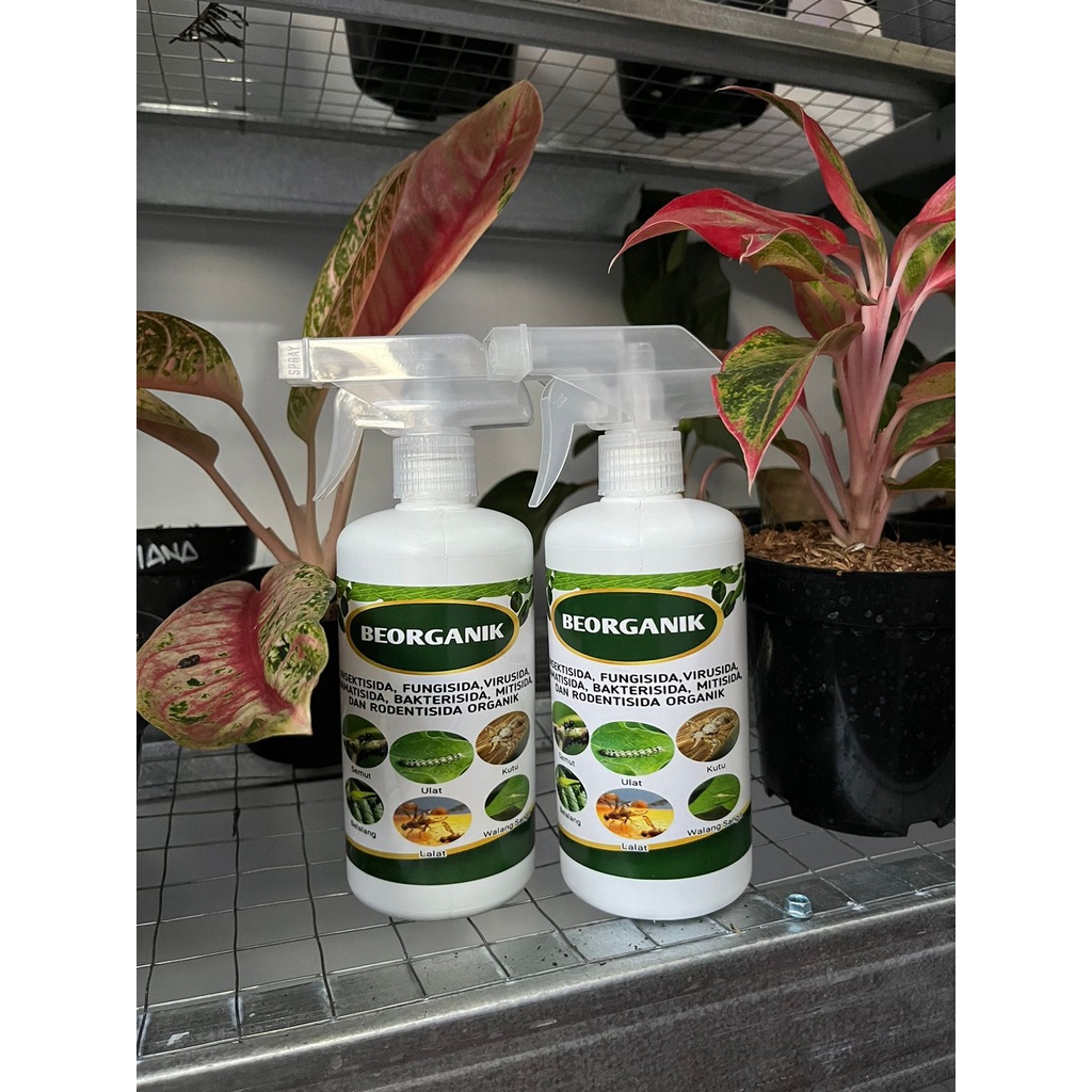 BEORGANIK Obat Hama, Organik, Pestisida, ulat, kutu putih, hama daun, ulat bulu, kaki seribu, semut,