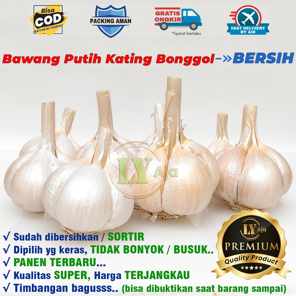 Bawang Putih Kating BERSIH dan KOTOR Bonggol 1 Kg Kualitas Super LY Aja 1Kg