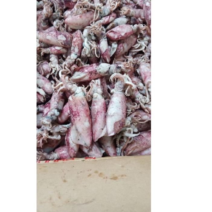 

☊ Cumi asin 1kg /cumi asin rebus/ikan asin cumi ✱
