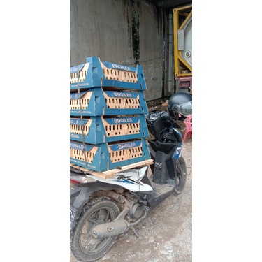 5 BOX DOD PEKING