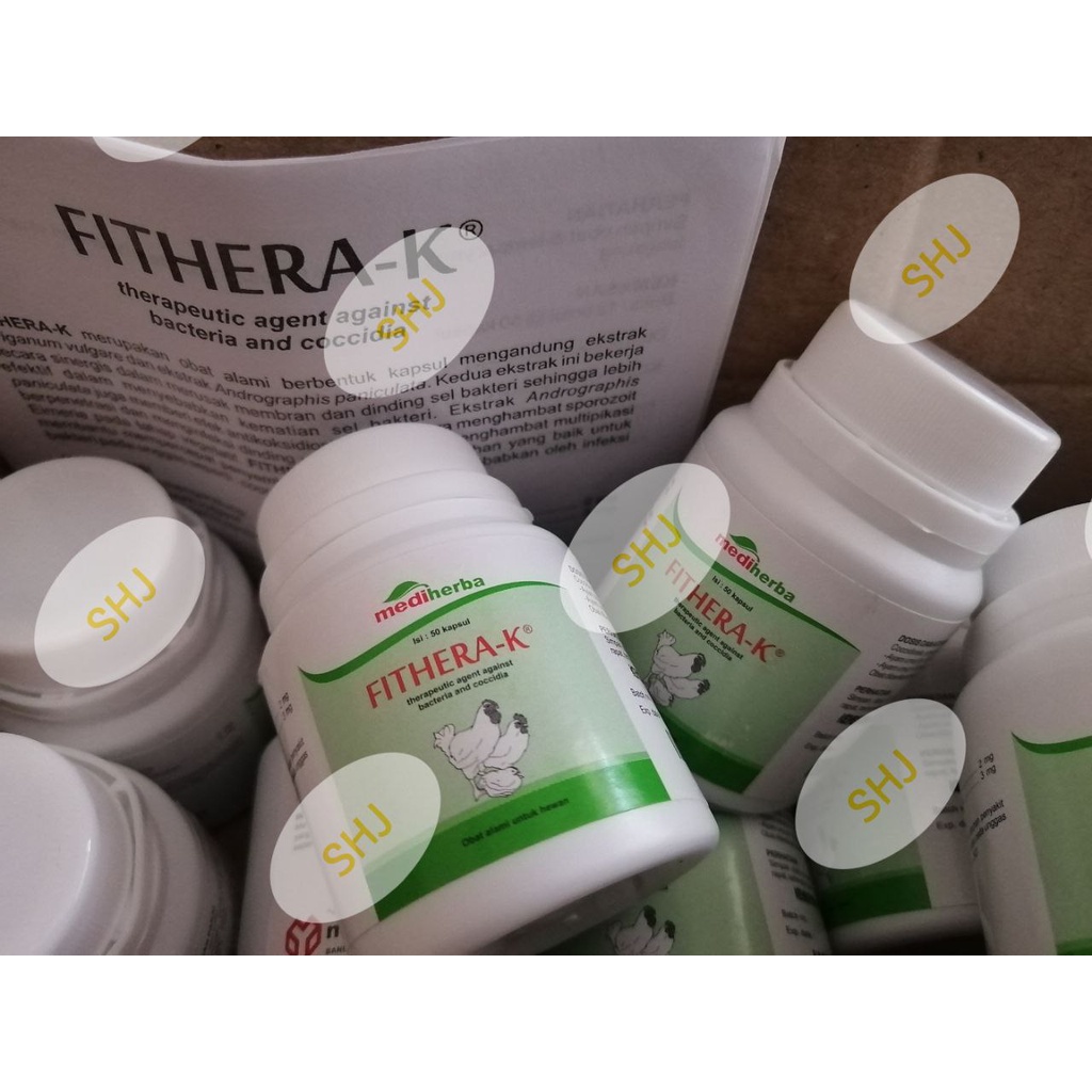 Fithera K isi 50 kaplet - atas bakteri dan koksi pada ternak