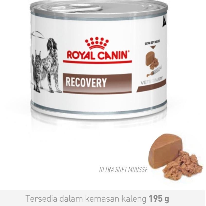 

❅ Royal Canin Recovery Kaleng 195gr ♚