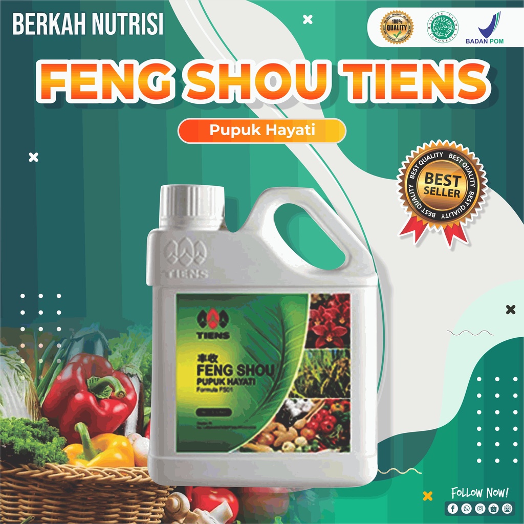 Pupuk Vitamin Dan Nutrisi Tanaman ALBERO SUPER pupuk tanaman hias spray leaf shine (1000 ml)