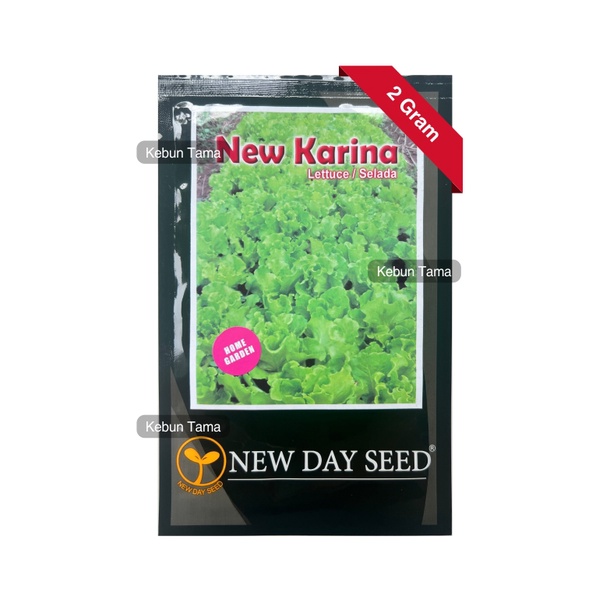 Benih Selada New Karina Selada Keriting Hijau New Day Seed