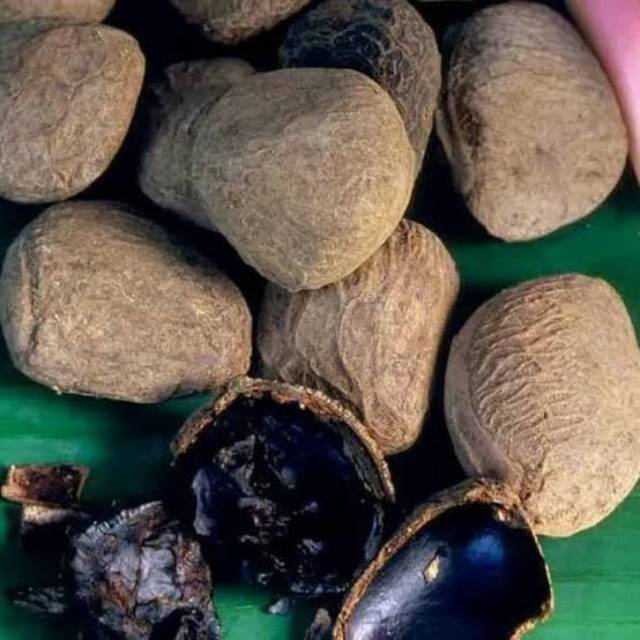 

TERBAIK KLUWAK /KLUWEK/KEPAYANG-250 GRAM
