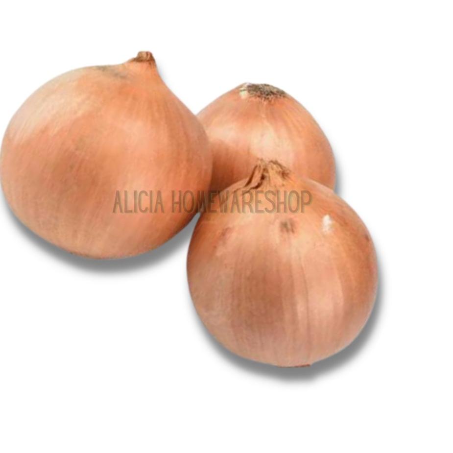 

Untung maksimal Bawang Bombay