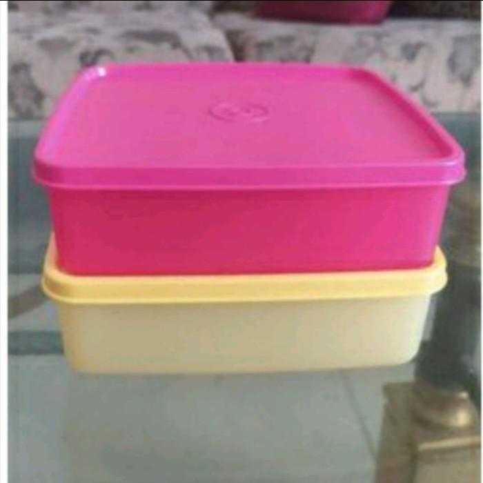 Terlaris Tupperware Large Square Away