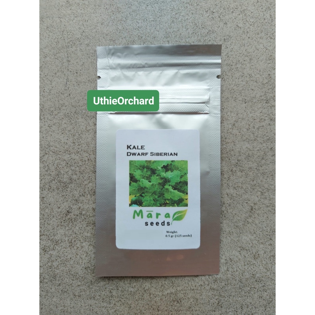 Mara Seeds - Kale Dwarf Siberian Improved (125 Seeds)