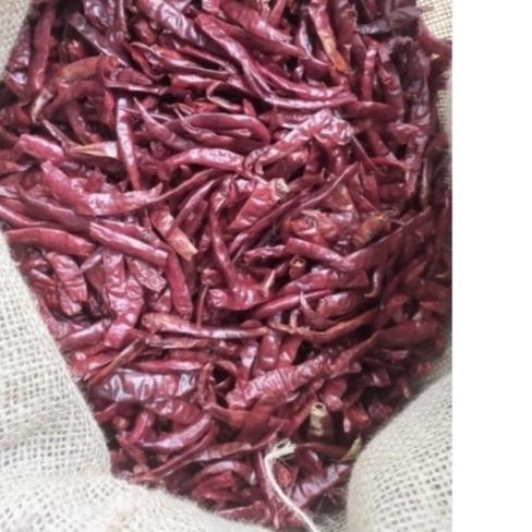 

☄ Cabe Rawit Teja Merah Kering 1 kg kilo IMPORT Dijamin Pedas Dan Fresh ➧