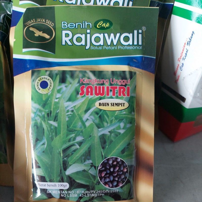 benih kangkung 100gram benih kangkung cap rajawali kangkung daun sempit kangkung sayur