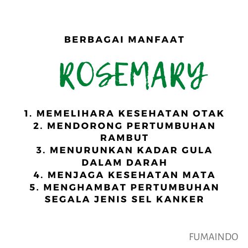 Rosemary Kering 50gr / Dried Rosemary / Daun Kering / Rempah / Bumbu Dapur