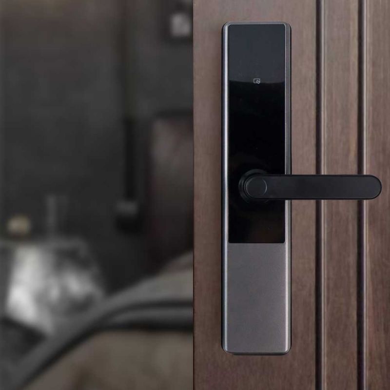 ALOEY Smart Door Lock Bluetooth Password Fingerprint Card TTLock - A2