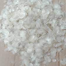 1 KG CHITOSAN / KITOSAN sisik ikan kakap merah TERJAMIN KUALITAS TERBAIK / FISH SCALE CHITOSAN 1000G