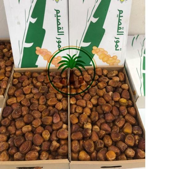 

▼ Kurma Sukari FRESH!! 3kg / Sukary AlQasim / Kurma Raja , Kurma Ruthab Rutob ❂