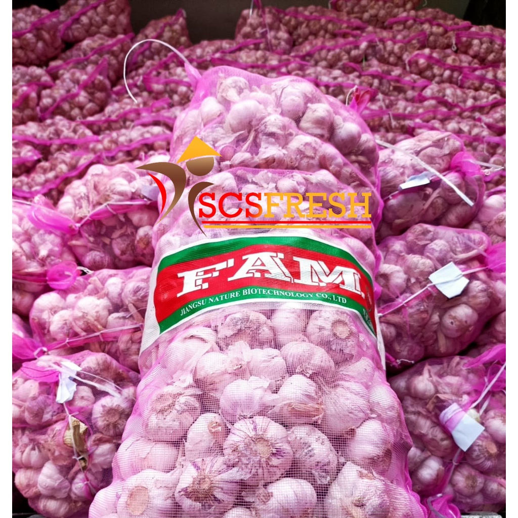 Bawang Putih Biasa atau Honan 1 Karung 20 Kg