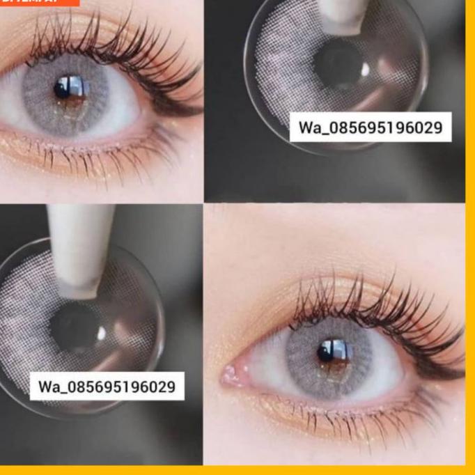 ❈ SOFTLENS SPATAX SOFTLENS BROWN SOFTLENS GREY GRAY NATURAL ➢