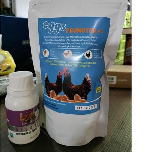

♛ eggs promotor plus 250g ✵