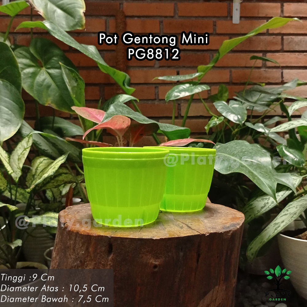 Pot Gentong Lovenia Mini - Gentong 12