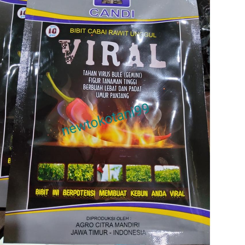➵ Benih cabe VIRAL 10 gram cabe rawit viral 10gr dari agro citra mandiri ✦