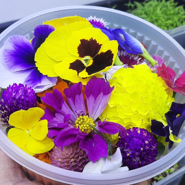 

Mix Edible Flower Fresh