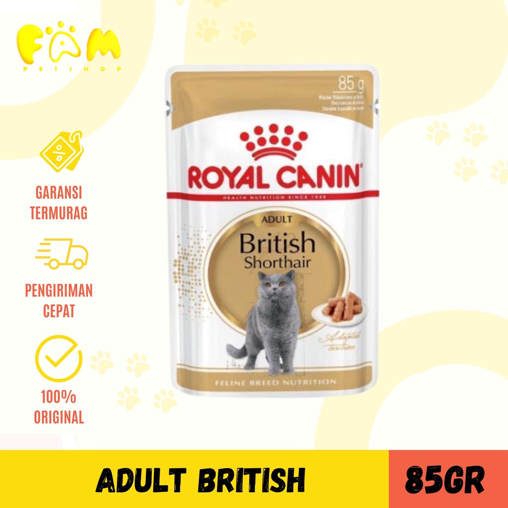 Royal Canin Adult British Shorthair Sachet 85 gr - Makanan kucing