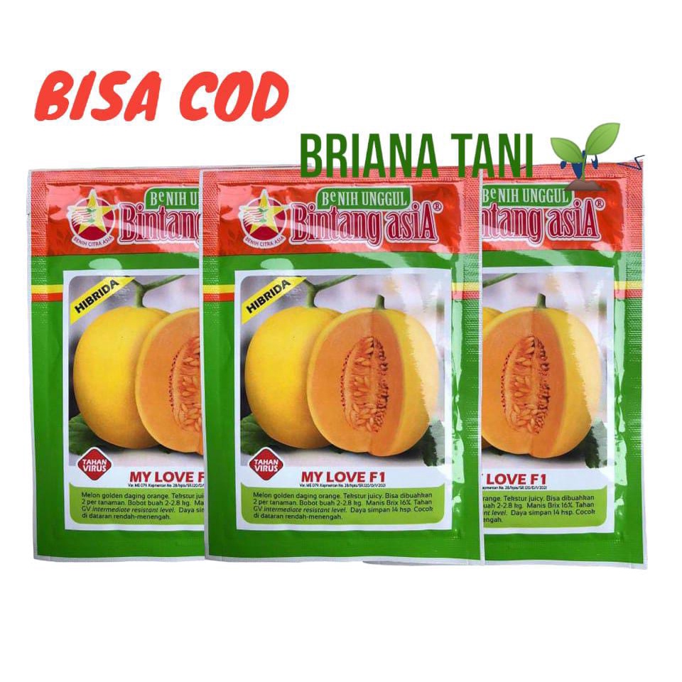 Benih Bibit Melon Golden MY LOVE F1 20Gr Bintang Asia Berkualitas Super Melon Golden Daging Orange