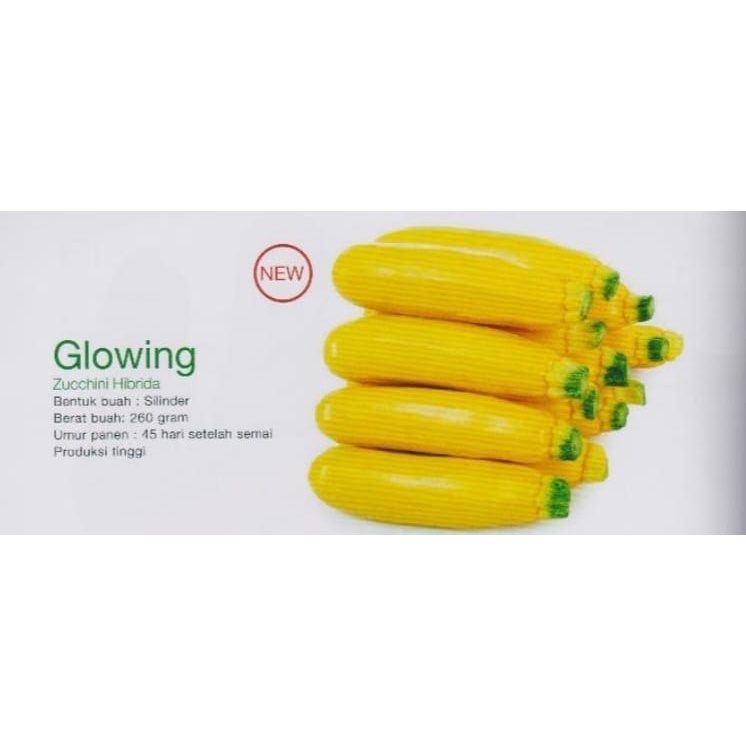 BENIH ZUCCHINI GLOWING 20GRAM biji bibit zuchini kuning hibrida sukini kuning