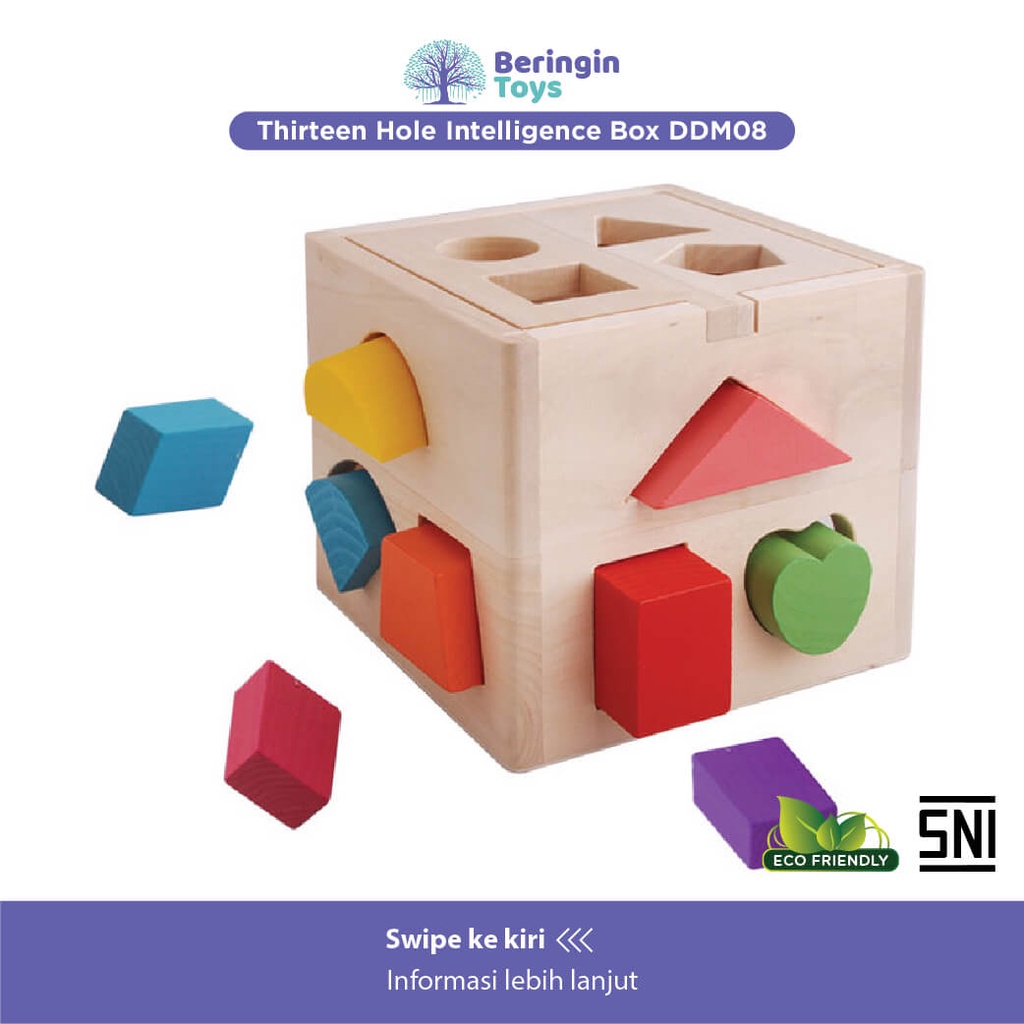 Thirteen Hole Intelligence Box DDM08 / Mainan Kayu / Mainan Edukatif