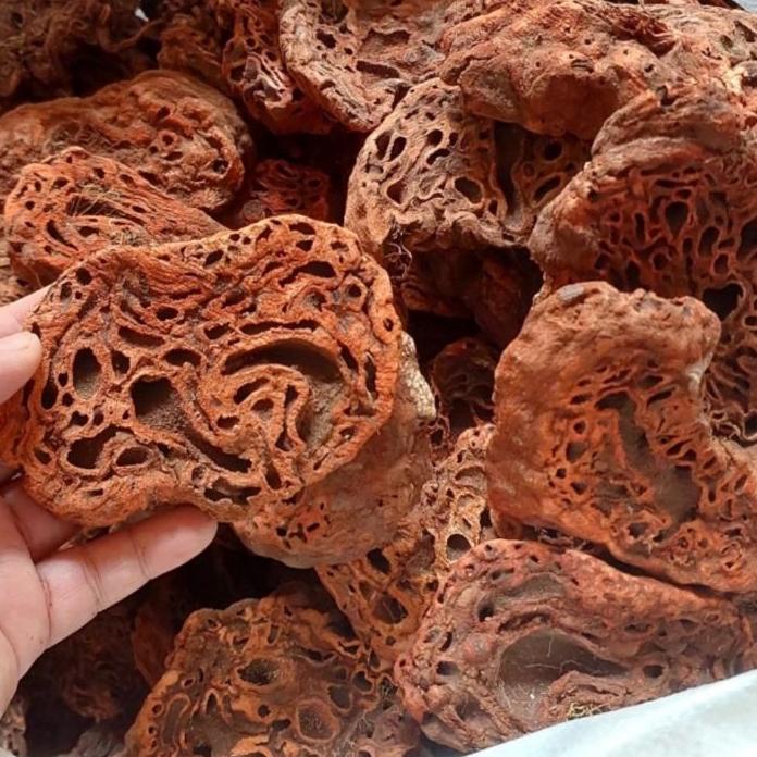 

♟ Sarang Semut Papua Asli 500gr ➾