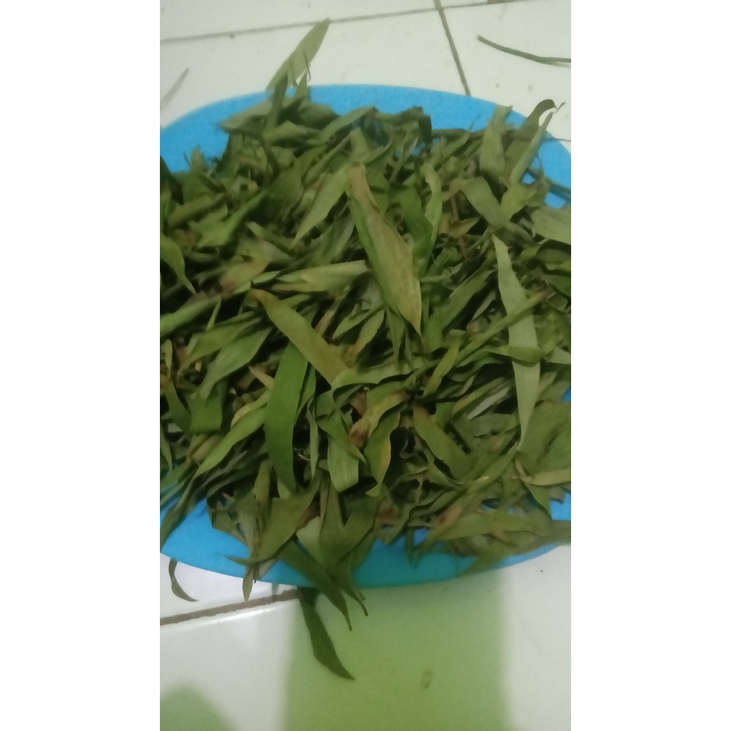 

Daun Kayu Puith Kering 100 gram