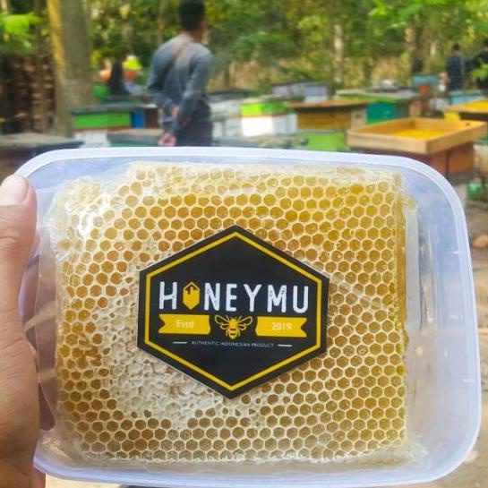 

♧ [500gr] Sarang Melifera ✲