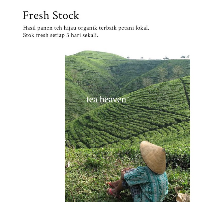 

1 kilo daun teh hijau murni organik green tea kiloan berkualitas pabri - 50gr