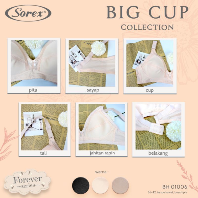 Bh Bra Sorex 01006 (Cup B) Licin Big Cup | Busa Tipis Tanpa Kawat | Basic |jpx