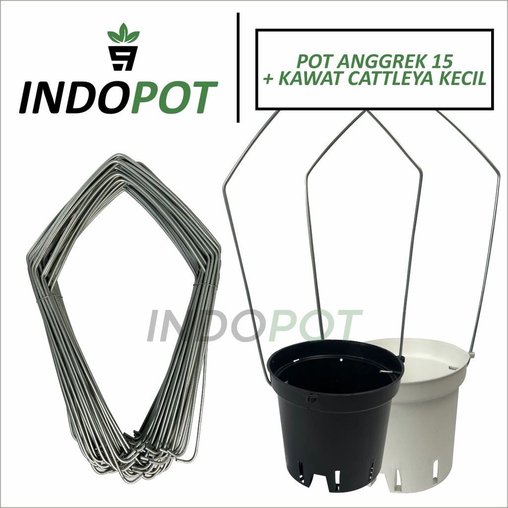 Paket Pot GBL Anggrek Cattleya + Kawat Cattleya Kecil Pot Gantung