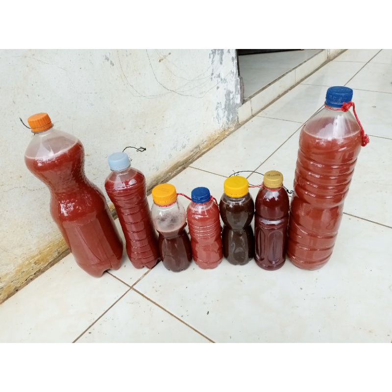 PSB (bakteri potosintesis)