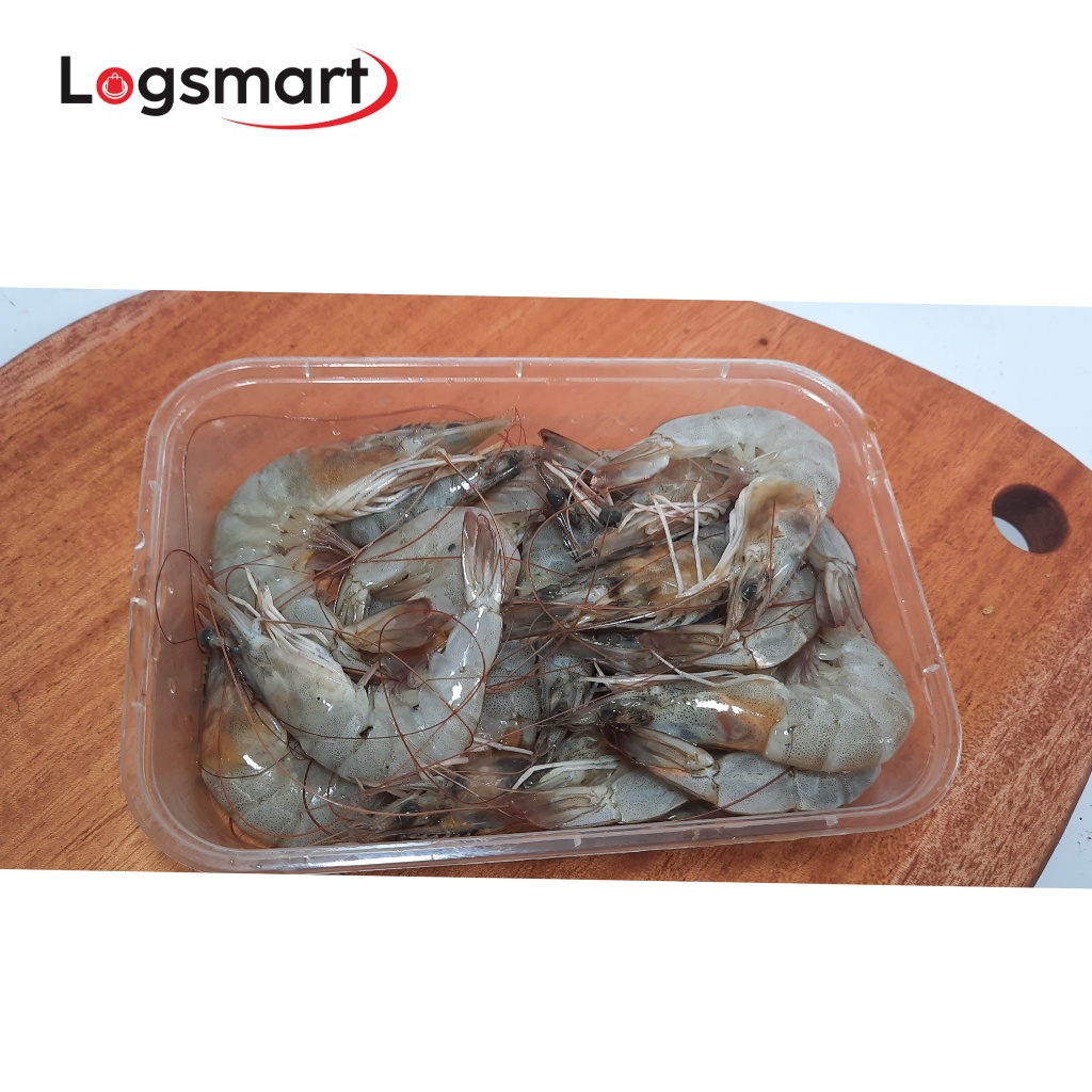 

UDANG SEGAR