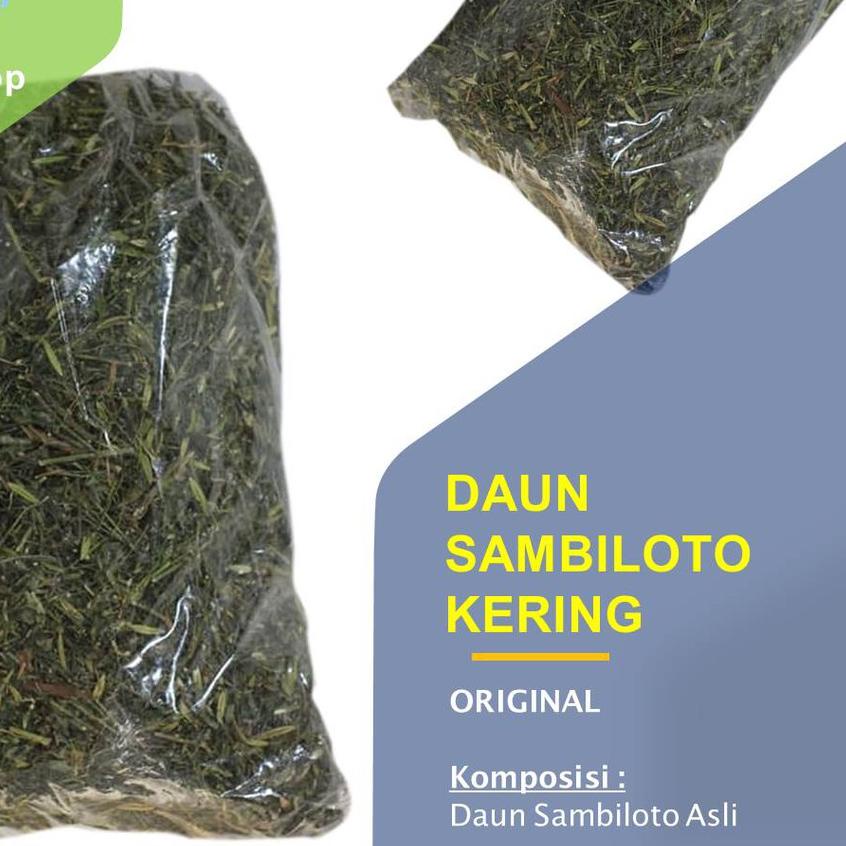 

➸ Daun Sambiloto Kering 1 kg Sambiroto (The Creat Leaf) ►