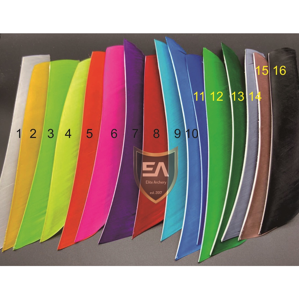 Bulu Kalkun Utuh Impor